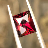 Precision Cut Garnet